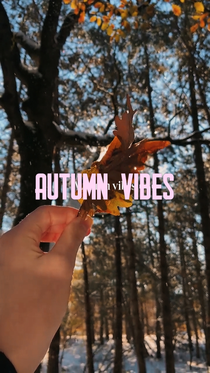 AUTUMN VIBES