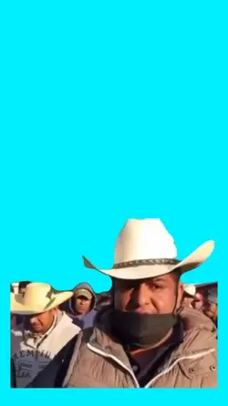Tontos o no