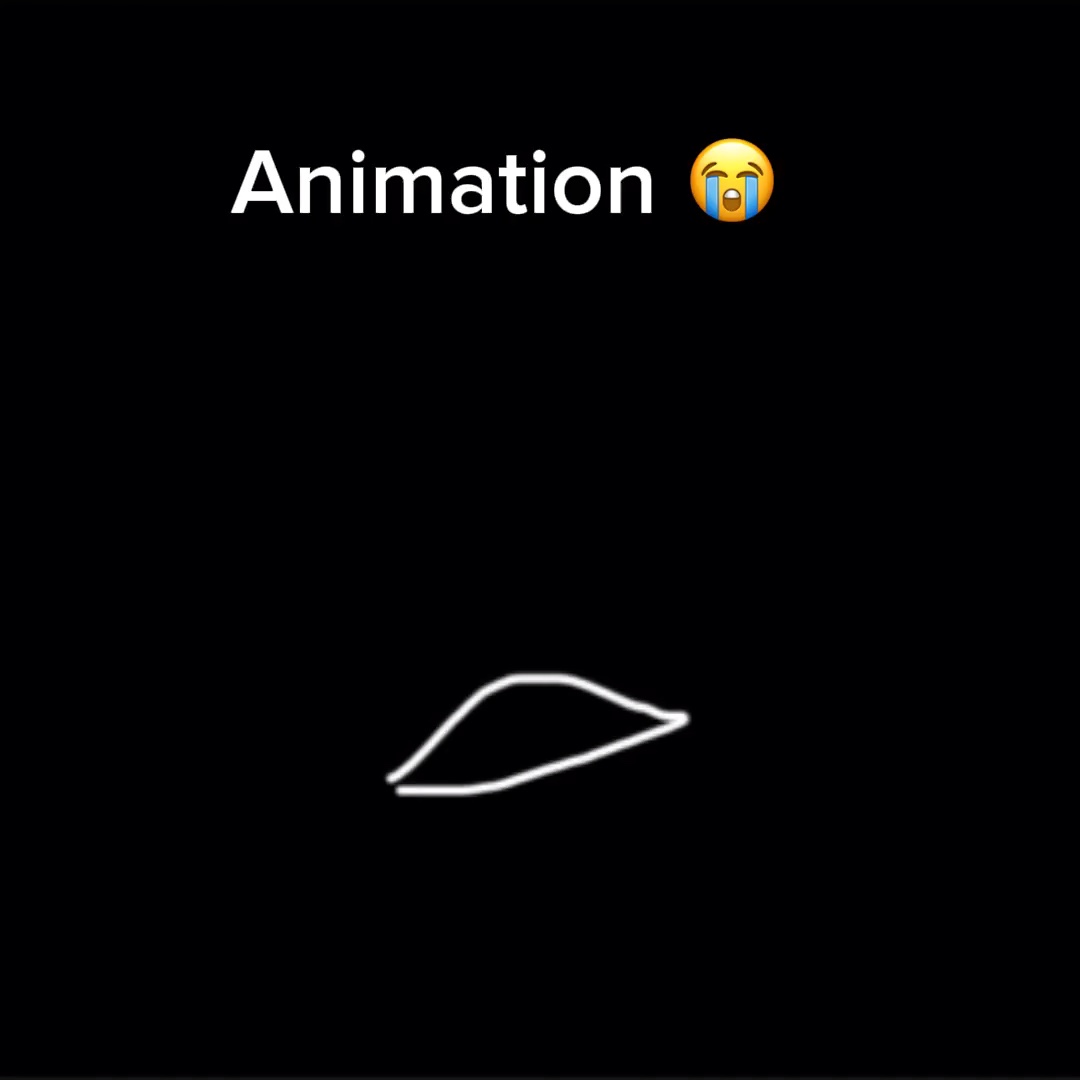 Animation that took 