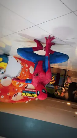 Homem Aranha
