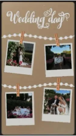 Wedding Day 🤵‍♂️💍👰