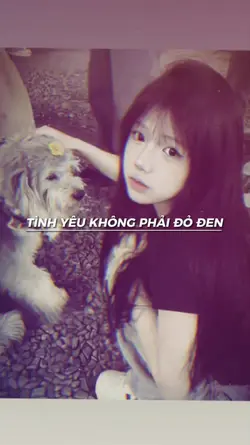 Tình yêu không phải