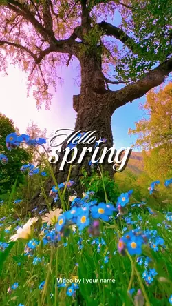 HELLO SPRING