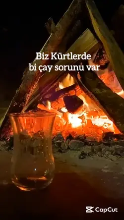 Biz Kürtlerde..