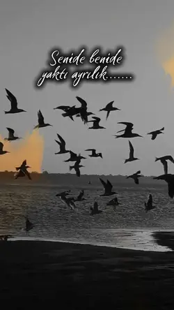 Yaktı Ayrılık