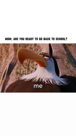 Funny meme video