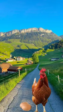 FUNNY HAPPY BIRTHDAY