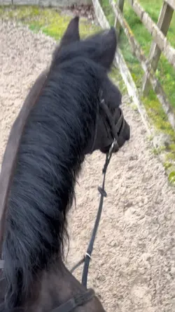 Slo mo template‼️