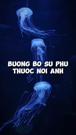 Buông Bỏ Sự Phụ