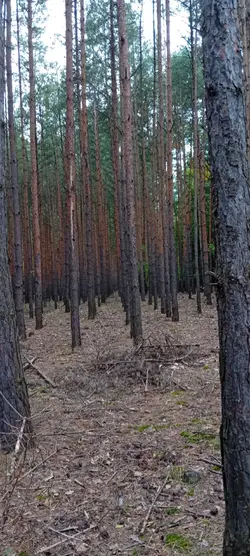 liminal space
