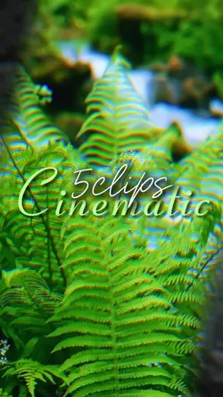 cinematic 5 videos