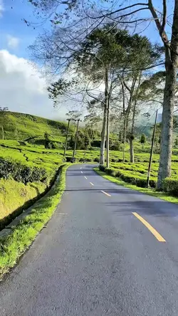 6 video HD roadtrip