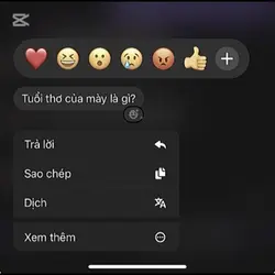 mẫu tuổi thơ