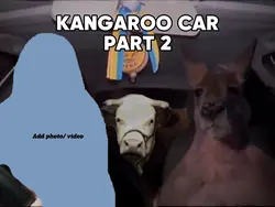 KANGAROO CAR PART 2
