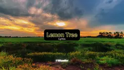 Lemon Tree 