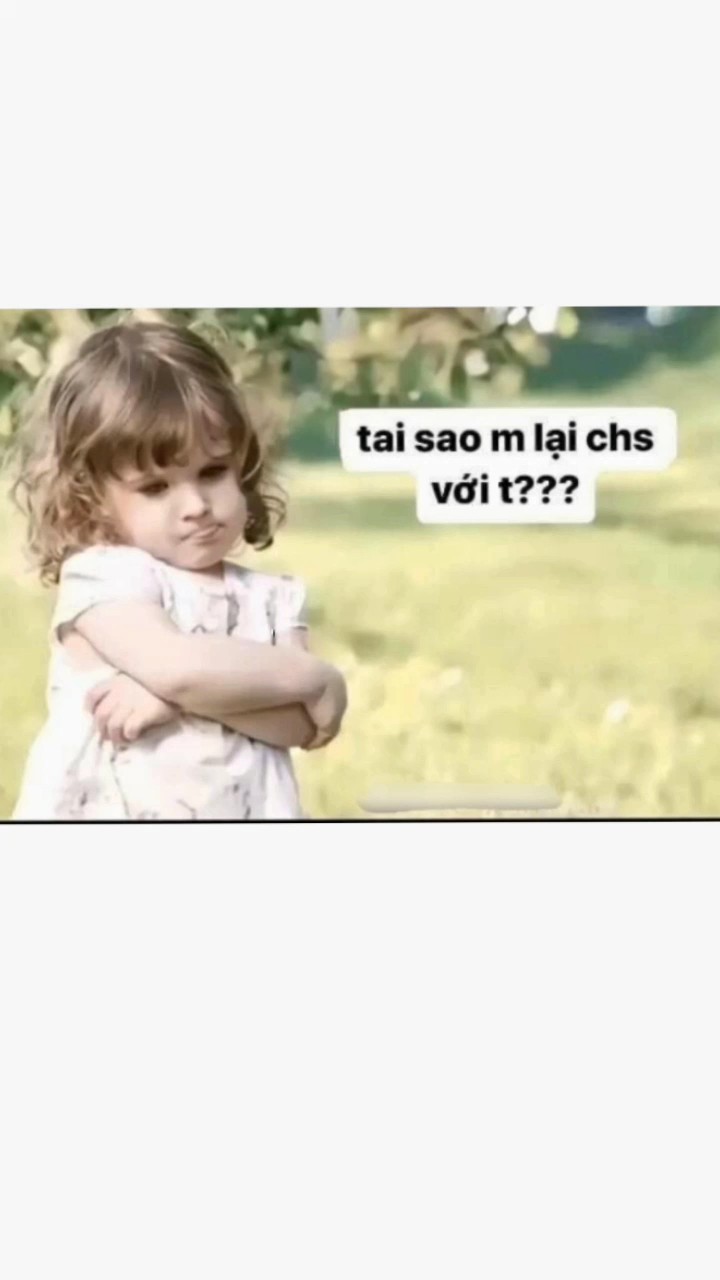 Tsao m lại chs với t