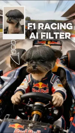 F1 racing