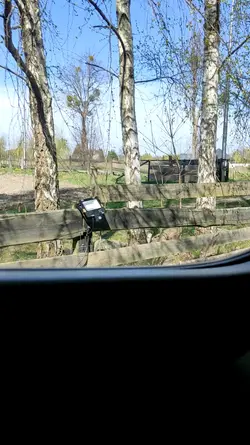 Urodzinki