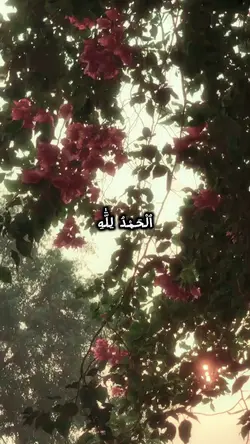 ٱلْحَمْدُ لِلَّٰهِ