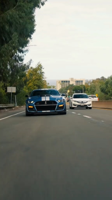 Mustang-Ausgabe