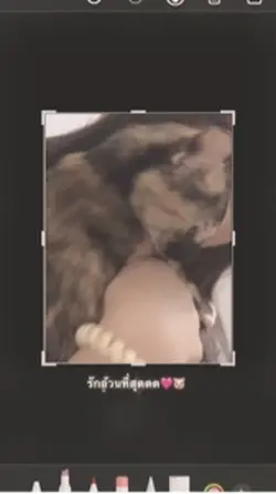 ต่อให้ตะวันลบเรือน