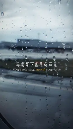 Mẫu tâm trạng 1 ảnh