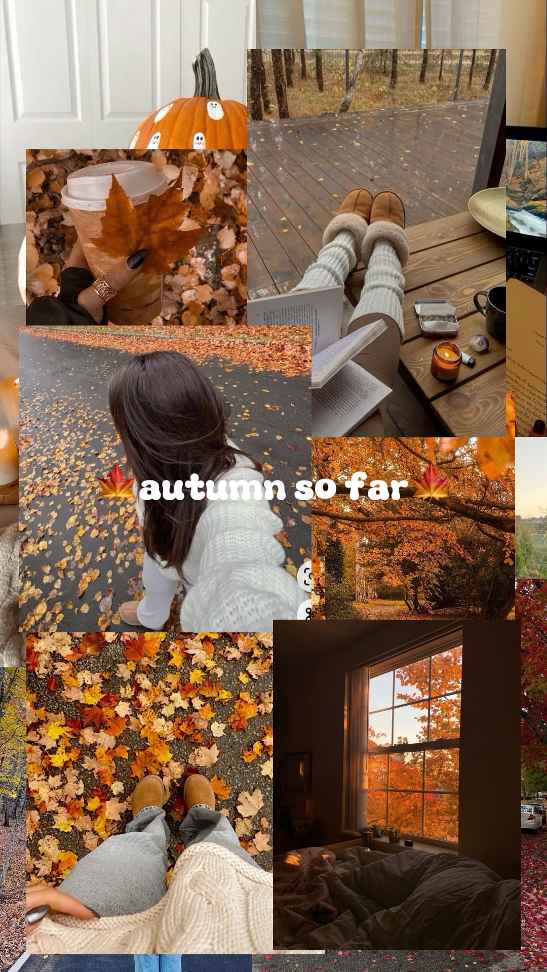 Video Collage Template Autumn - Pippit