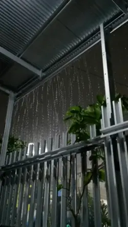 ไลฟ์โฟโต้