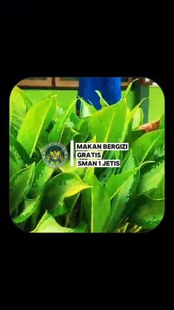 MBG SPPG Sekolah