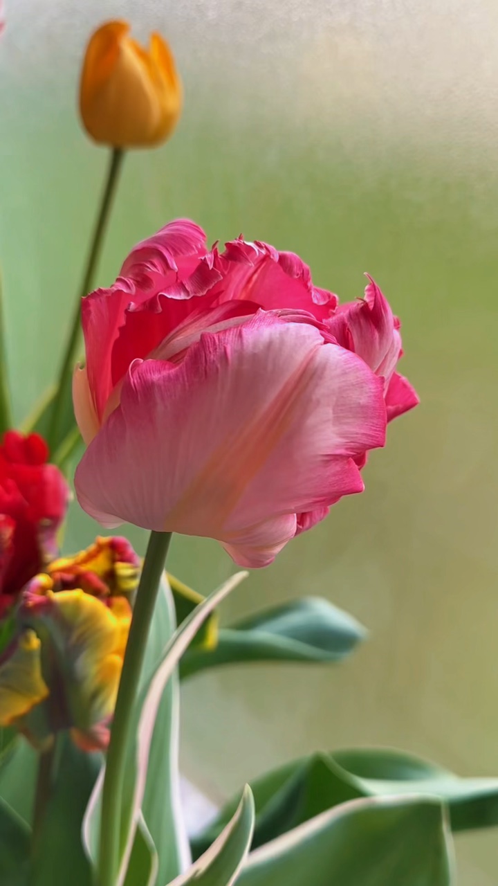 Frühling und Sommer