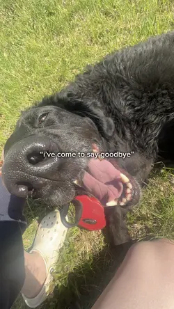 3/30/2018-9/28/2025💕