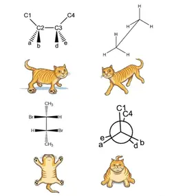 Química Orgânica 