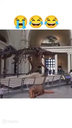 Dino 🦖 