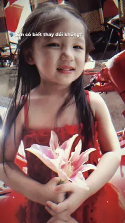 Trend trưởng thành 