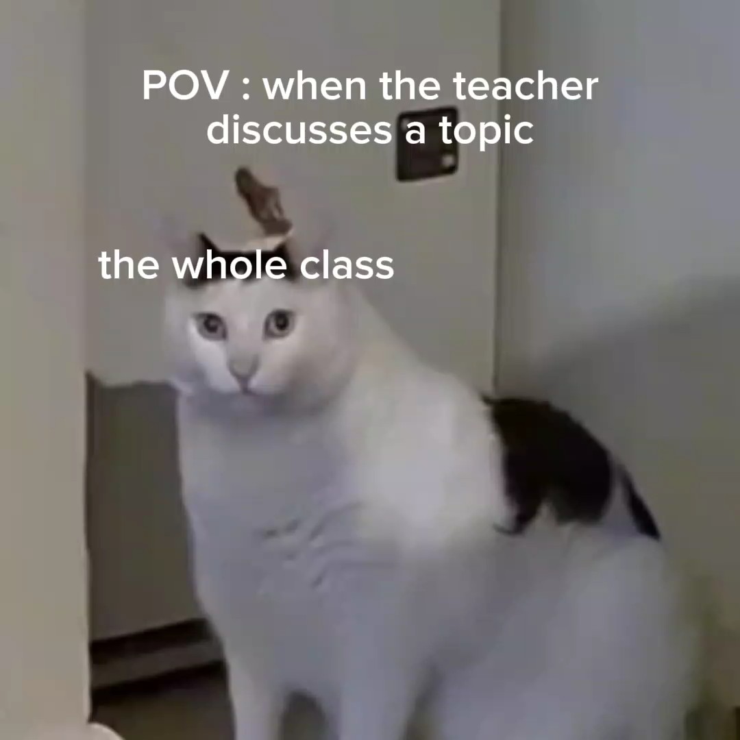 Huh Katze Meme