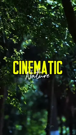 CINEMATIC NATURE