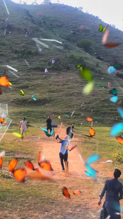 Circket
