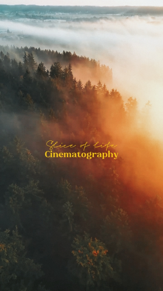 43 / 29 cinematografía