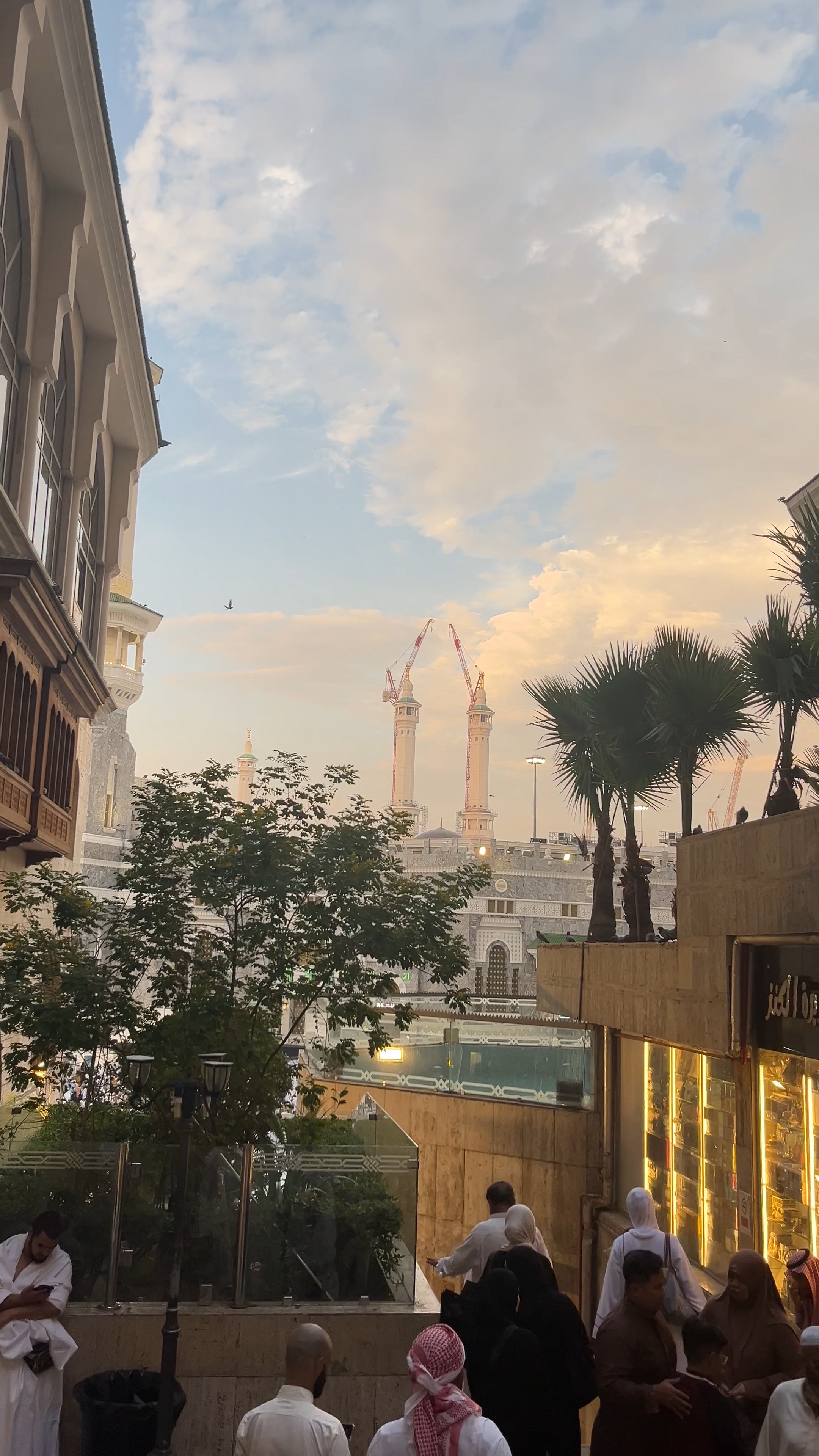 Qalbi fil madina 