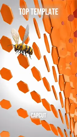 Bee Intro Top