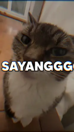 TrendKucingKisSayang