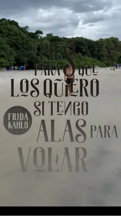 No necesito alas