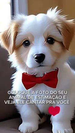 SINCRONIZAÇÃO LABIAL