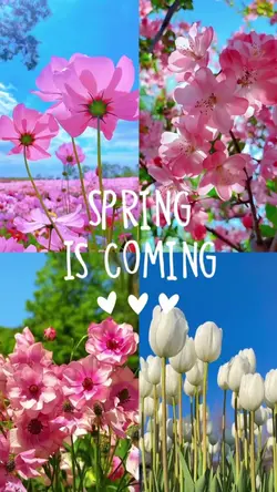 Spring is Coming