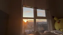 Sunrise therapy 🌞