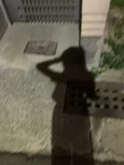 實況定格模板