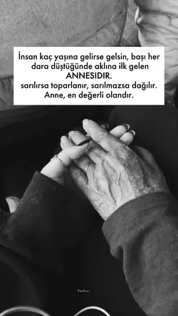 Anne
