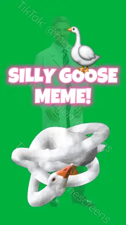 YOU SILLY GOOSE!