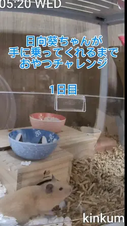○○○するまでチャレンジテンプレート
