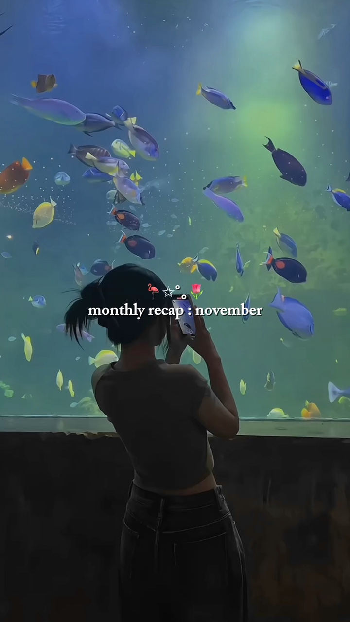 november recap